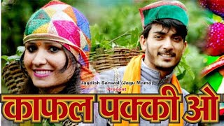 Kafal Pakee O Gaye  Jagdish Sanwal  Shalu Dhiman  Latest Pahari Song 2020 [upl. by Trevah651]