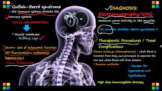 Guillain–Barré syndrome  Simply Explained symptoms causes treatment [upl. by Sean]