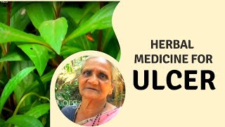 How to cure Ulcer and Hemorrhoids Naturally Herbal medicine for Ulcer and Piles  Home Remedies [upl. by Moyers221]