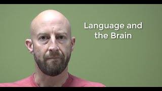 Psycholinguistics Language and the Brain [upl. by Wenz]