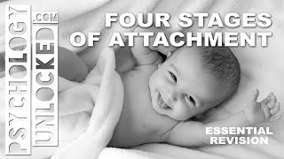 Four Stages of Attachment John Bowlby  Attachment  Psychology Revision Tool [upl. by Isyad]