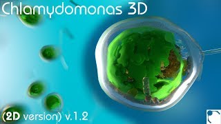 Chlamydomonas 3D  From Biological Cells to Biofuels 2D version 12 [upl. by Wendolyn433]