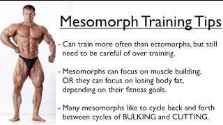 Ectomorph Endomorph or Mesomorph  Training for YOUR Body Type [upl. by Eliathas]