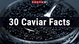 30 Caviar Facts About The Roe From The Sturgeon Beluga [upl. by Mcdade68]