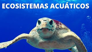 ¿Qué son los ECOSISTEMAS ACUÁTICOS Características tipos y ejemplos🌊 [upl. by Roselane314]