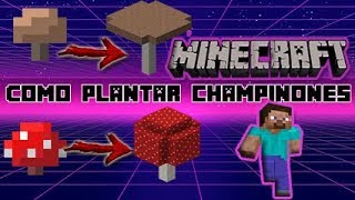 COMO PLANTAR CHAMPIÑONES EN MINECRAFT Tutorial Seta Roja o Marron GiganteEnorme [upl. by Phia]