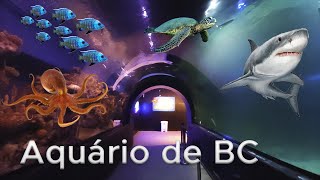 Oceanic Aquarium  Balneário Camboriú SC  4K [upl. by Ettenoitna769]