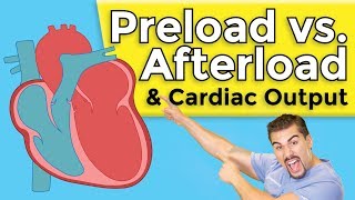 Cardiomyopathy  Preload vs Afterload [upl. by Yrtua]