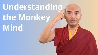 Understanding the Monkey Mind with Yongey Mingyur Rinpoche [upl. by Clementius]