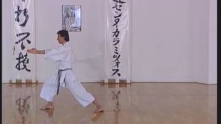 Shotokan  Heian Nidan [upl. by Llahsram]