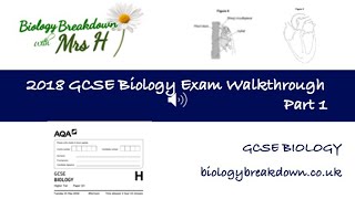 GCSE 2018 Biology Exam Paper 1  Part 1 [upl. by Sila]