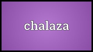 Chalaza Meaning [upl. by Sosna533]