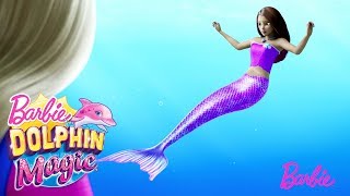 Youre a Mermaid  Dolphin Magic  Barbie [upl. by Orelee124]