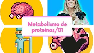 Metabolismo de proteínas01 [upl. by Anelrahs863]