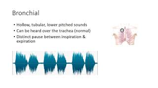 Essential Lung Sounds [upl. by Avron]