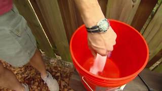 The Key to Removing Mold Outside the House [upl. by Grevera]