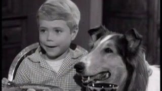 Lassie  Episode 164  quotTimmy the Oil Millionairequot  Season 5 Ep 21  01251959 [upl. by Asilef]