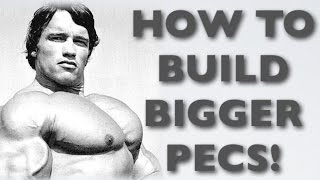 How To Build BIGGER Pecs  Pectoral Muscle Workout [upl. by Divadleahcim749]