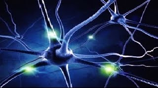 Light and Sound 40 Hz Device Neurohacking Alzheimer’s [upl. by Aidile]