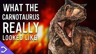 What Did Carnotaurus REALLY Look Like  Jurassic World Fallen Kingdom MONTH [upl. by Gilberto]