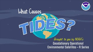 What Causes Tides [upl. by Gemma]