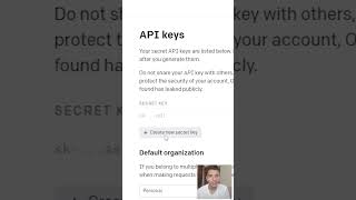 How to get OPEN AI API KEY [upl. by Aniret]