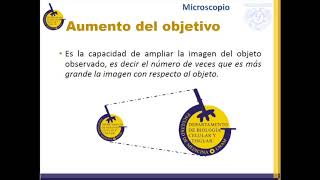 Temp1 Cap1 Epi1 Microscopia [upl. by Ecad]