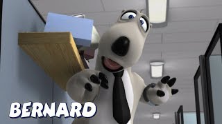 Bernard Bear  Working Bear AND MORE  Cartoons for Children  Full Episodes [upl. by Esirrehc280]