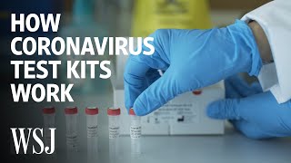 How Coronavirus Test Kits Work  WSJ [upl. by Aroc]