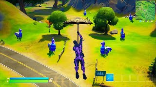 how to find EVERY llama in fortnite [upl. by Anyotal863]