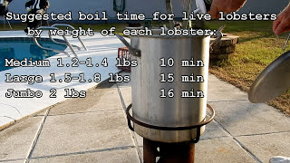 How to cook lobsters [upl. by Hamitaf]