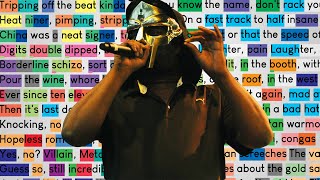 MF DOOM  Meat Grinder  Rhymes Highlighted [upl. by Atikin]