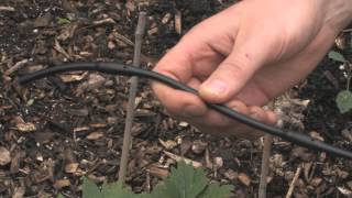 Drip Irrigation Basics [upl. by Aitat]