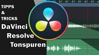 DaVinci Resolve Tonspur einfügen [upl. by Cho]