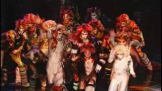 CATS The Musical  National Tour [upl. by Odnomyar]