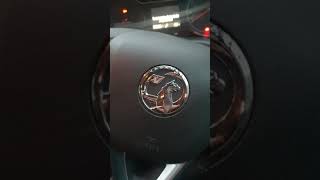 Reset Spannerservice light on Vauxhall Opel Grandland [upl. by Dayna173]