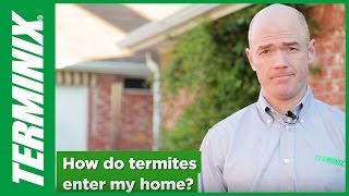 How Do Termites Enter the Home [upl. by Tteraj]