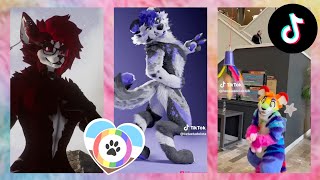 Furry TikToks Compilation 30 [upl. by Heyward892]