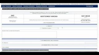 Tutorial  1 Formulario SAT 8028 [upl. by Minton]
