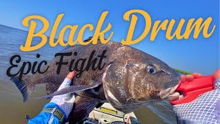 Black Drum EPIC Fight  Plaquemines Parish LA [upl. by Peednama]