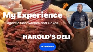 Huge Sandwiches at Harold’s Deli Edison NJ [upl. by Eldwon]