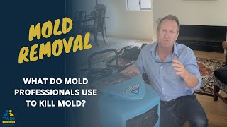 What Do Mold Professionals Use To Kill Mold [upl. by Saidnac]