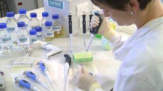 Using a Micropipette  University of Leicester [upl. by Ursel]