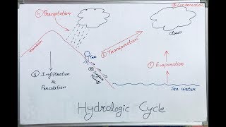 Hydrological Cycle Hindi Lecture I Water Cycle [upl. by Darrell36]