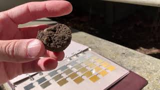 How to Use a Munsell Soil Chart [upl. by Heall142]