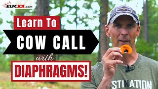 How to Cow Call with Diaphragm Elk Calls [upl. by Udella]