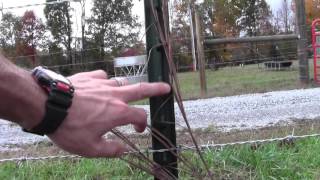 Barbed Wire and Tpost fence spacing [upl. by Melan]