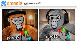 OMEGLE Trolling in Gorilla Tag [upl. by Hamitaf]