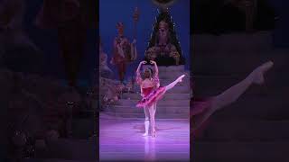 The Nutcracker  Grand Pas de Deux [upl. by Megargee]