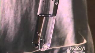 Reaction of Magnesium and Water [upl. by Llerryt]